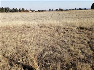 1 ha Land available in Homestead Apple Orchards