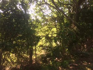 2366 m² Land available in Southbroom
