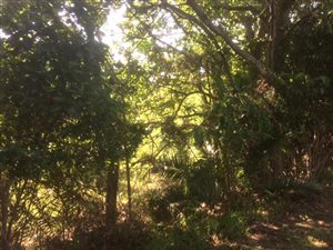 2366 m² Land available in Southbroom