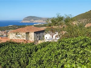 1200 m² Land available in Whale Rock