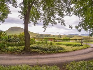 24.2 ha Farm in Creighton