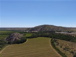 15 ha Farm in Upington
