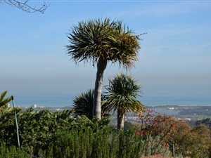 1436 m² Land available in Helderberg Estate