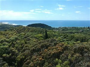 3.6 ha Land available in Port Edward