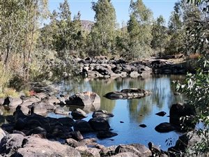 1.4 ha Farm in Parys