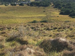 821 m² Land available in Kenton-on-Sea