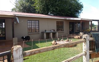 52 ha Farm in Honingnestkrans