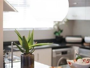 2 Bed Apartment in Pinelands