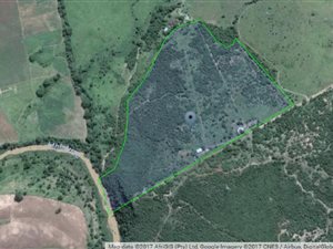 20 ha Farm in Empangeni