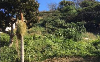 1025 m² Land available in Avoca