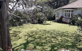 1 Bedroom Garden Cottage in Berea