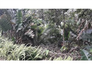 1060 m² Land available in Leisure Bay