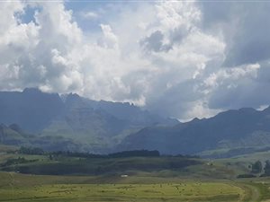 853 m² Land available in Winterton