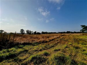 12.1 ha Farm in Walkers Fruit Farms