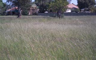 495 m² Land available in Excelsior