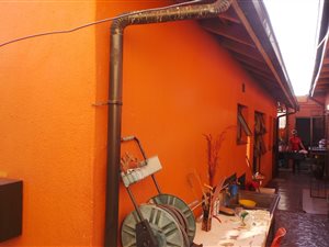 3 Bed House in Meadowlands