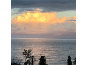 1555 m² Land available in Ocean View