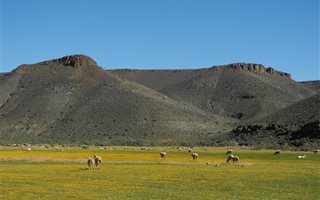 1240 ha Farm in Calvinia
