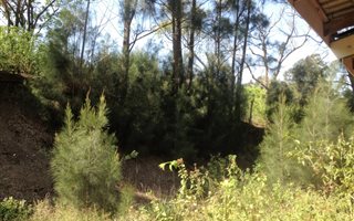 2.2 ha Land available in Shakaskraal