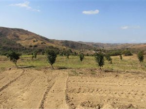 40.5 ha Farm in Umkomaas