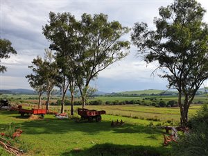 Farm in Kokstad