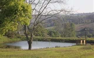 27 ha Farm in Assagay