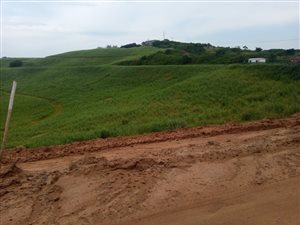 1764 m² Land available in Sheffield Beach