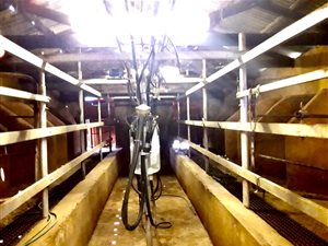 348 ha Farm in Ventersdorp