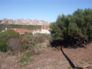 824 m² Land available in Seemeeu Park