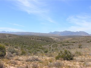 757 ha Farm in Ladismith