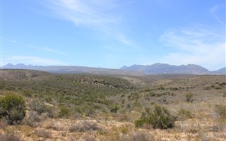 757 ha Farm in Ladismith