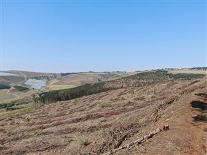 35 ha Farm in Hilton
