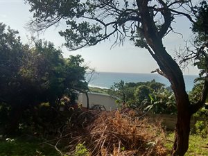 1090 m² Land available in Mtwalume