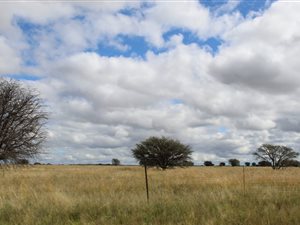 1134 ha Farm in Hertzogville