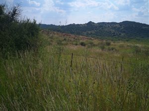 2.1 ha Land available in Lilyvale