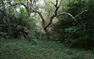 1800 m² Land available in Clansthal