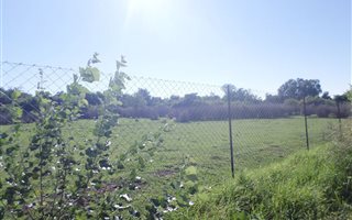2 ha Land available in Ventersdorp