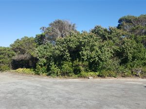 902 m² Land available in Paradise Beach