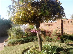 3 Bed House in Tedstoneville