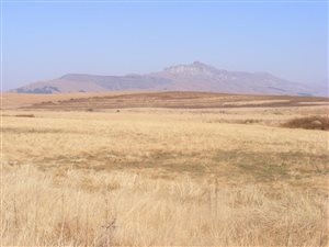 604 ha Farm in Mooi River