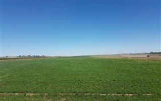 40 ha Farm in Upington