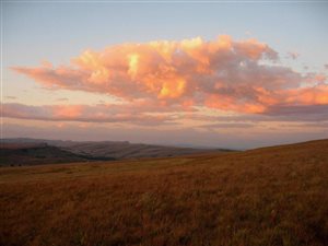213 ha Farm in Dullstroom