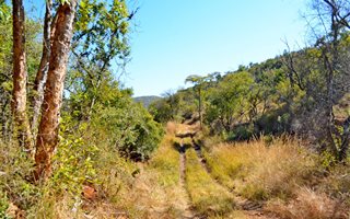 6357 ha Farm in Rooiberg
