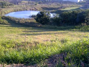 736 m² Land available in Shelly Beach