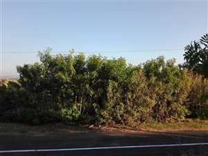 1263 m² Land available in St Michaels on Sea