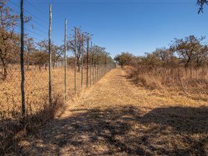 2 ha Land available in Myngenoegen AH
