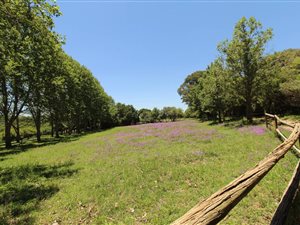 10.9 ha Farm in Muldersdrift