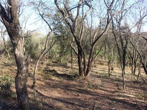 5300 m² Land available in Zwavelpoort