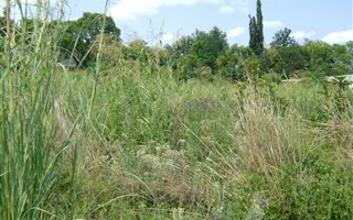 2677 m² Land available in Swartruggens