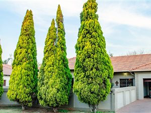 3 Bed House in Rose Acres Estate